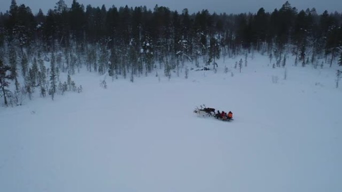 冬季深雪森林上驯鹿雪橇的鸟瞰图