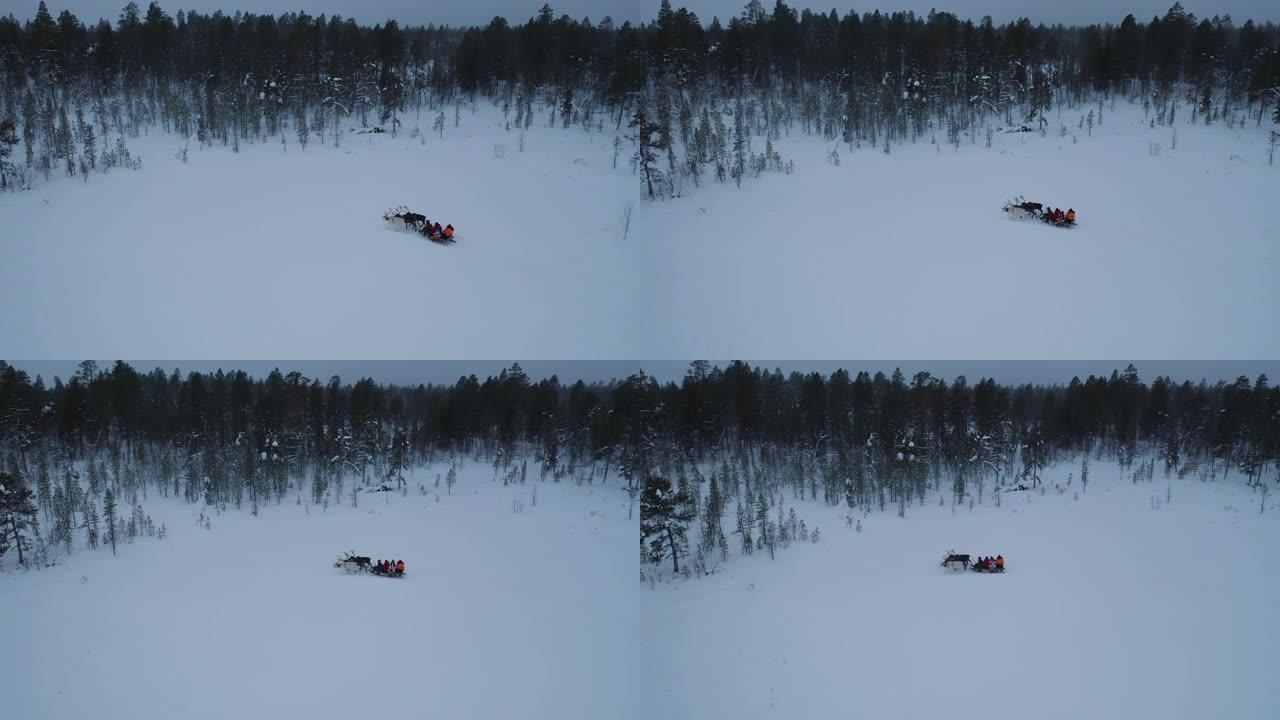 冬季深雪森林上驯鹿雪橇的鸟瞰图