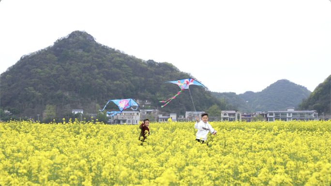 放风筝幸福生活美丽乡村油菜花男孩儿童快乐