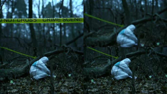 在树林里的犯罪现场，法医在处理谋杀现场的证据