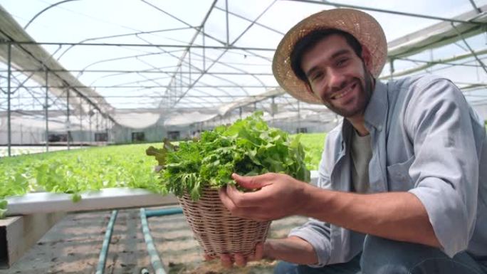 4k慢动作蔬菜农场主查看产量和质量控制
从有机蔬菜的生产和生长看