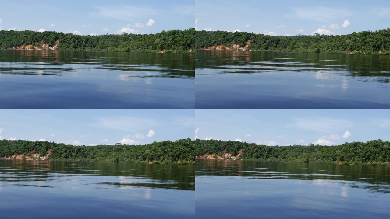 追踪亚马逊湿地的照片