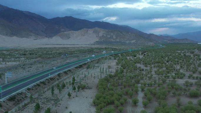 雅鲁藏布江防护林 航拍 公路交通网 旅拍