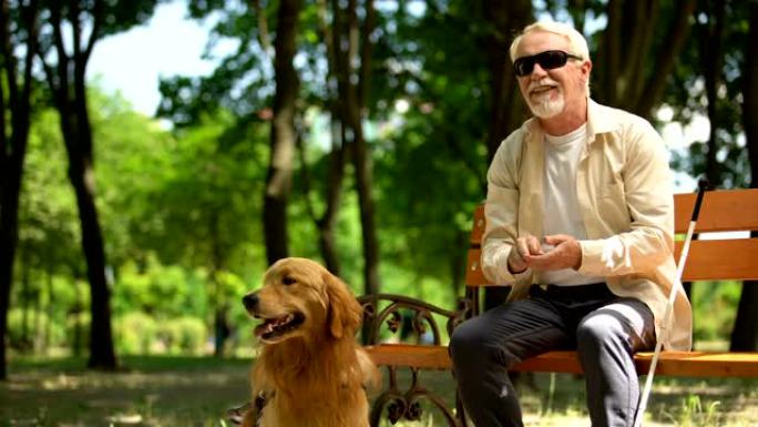 正盲人喂养导盲犬，坐在公园里，营养丰富的犬类食品