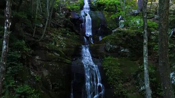 森林中的瀑布在森林深处从一个非常陡峭的瀑布跌落下来