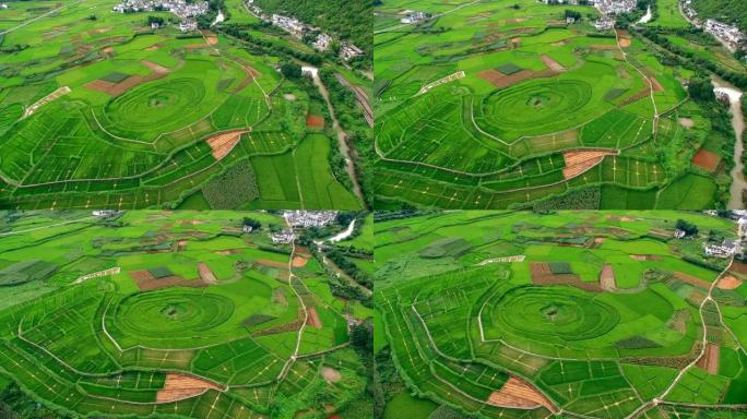 中国贵州喀斯特峰林 (万峰林) 的空中视野稻田。