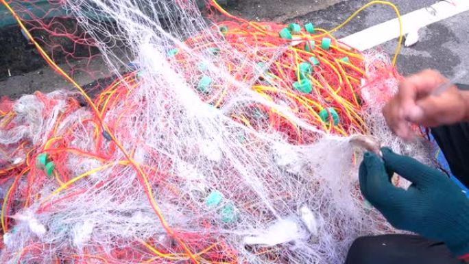 渔民在网中分拣鱼渔民在网中分拣鱼