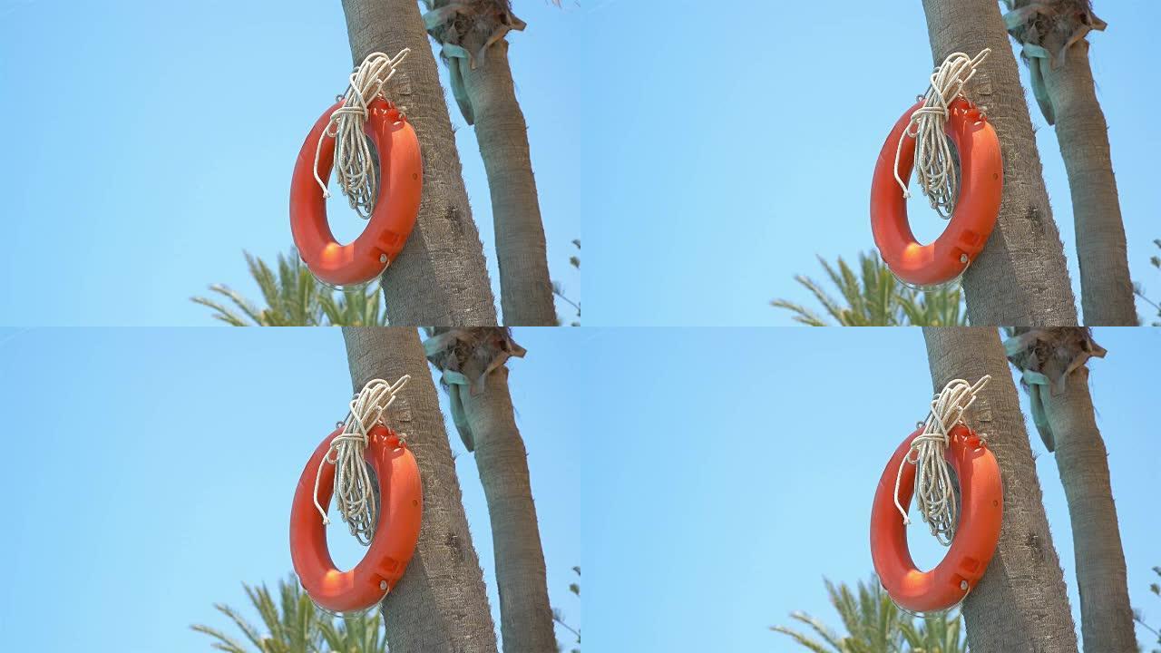 4k棕榈树上橙色救生圈的视频