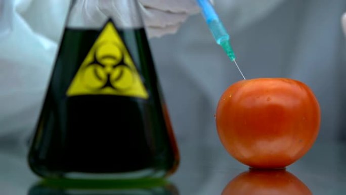 在番茄中注入生物有害液体的橡胶手套，毒物测试