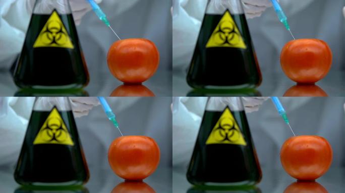 在番茄中注入生物有害液体的橡胶手套，毒物测试