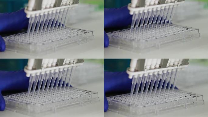 科学家在96个井盘中转移混合小体积液体