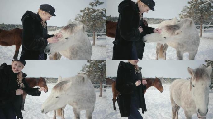 年轻微笑的女人在冬季牧场抚摸着可爱的白色纯种马的枪口。
