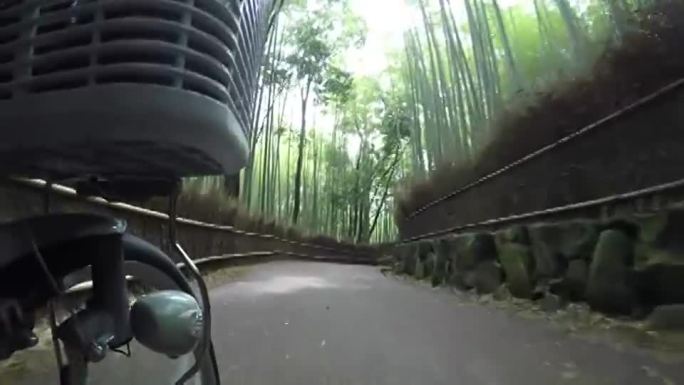 骑自行车穿过竹林实拍