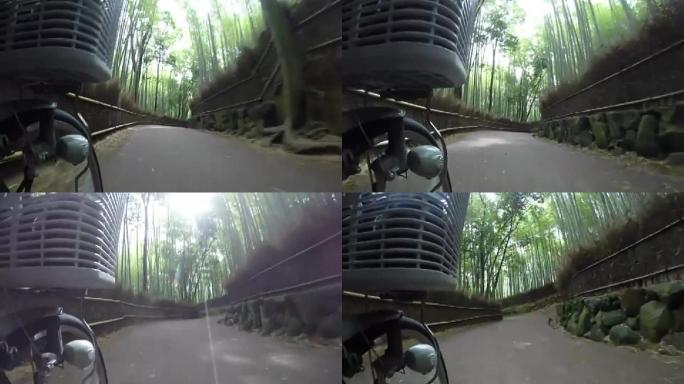 骑自行车穿过竹林实拍