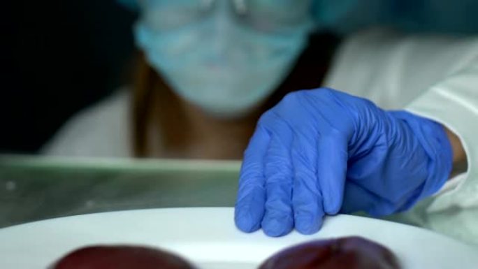 实验室科学家用放大镜检查肝脏样品食品专业知识