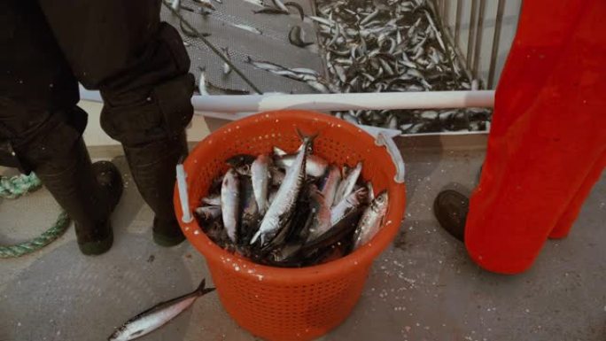 渔业: 大量捕捞鱼类