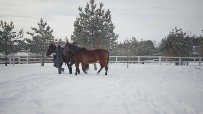 男人和女人带领两匹棕色的马在雪地冬季牧场聊天。