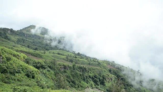 雾在泰国Phu Thap Book的高地上流动