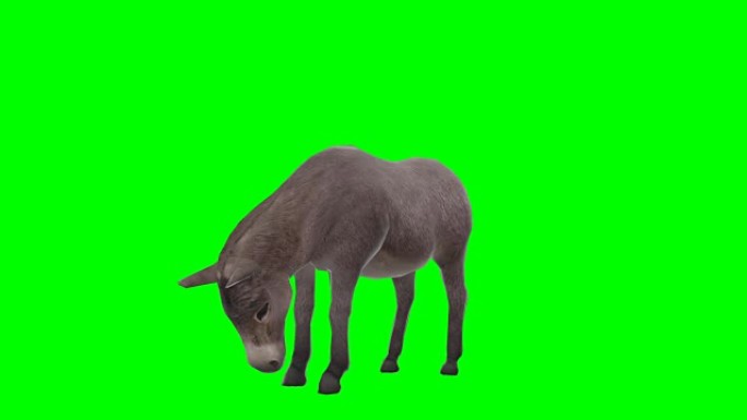 驴吃绿屏 (可循环)
