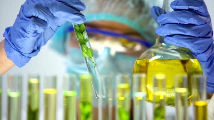 生物化学家用绿色植物将黄色物质滴入试管，提取