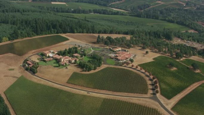 邓迪山，俄勒冈州葡萄酒之乡的鸟瞰图。