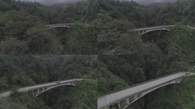 车辆从森林里的小桥驶过。4k-log模式