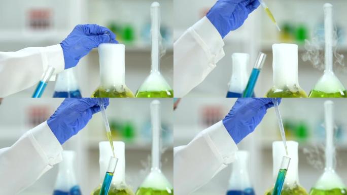 化学家用蓝色试剂将沸腾的植物提取物滴加到试管中