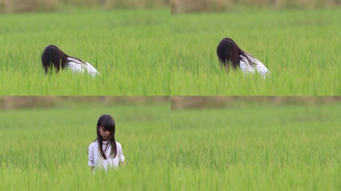 女孩享受在稻田玩耍的快乐。