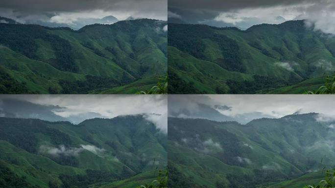 黎明迷雾景观中的迷宫，背景中的山脉/狗Phu Kha，Nan，泰国