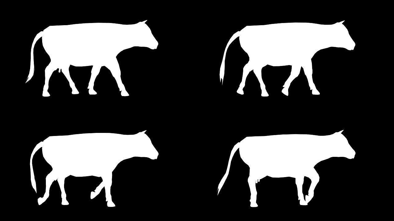 奶牛行走轮廓 (可循环)