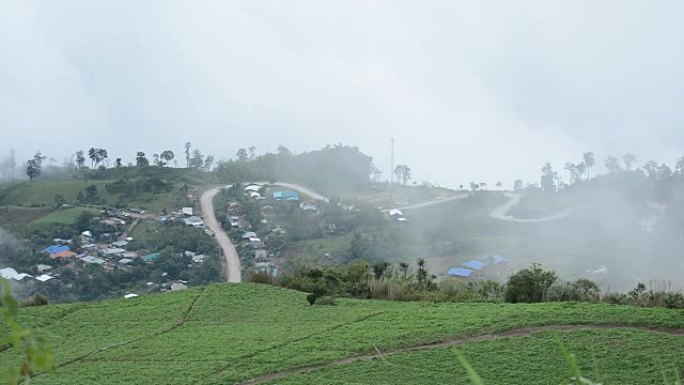 雾在泰国Phu Thap Book的高地上流动