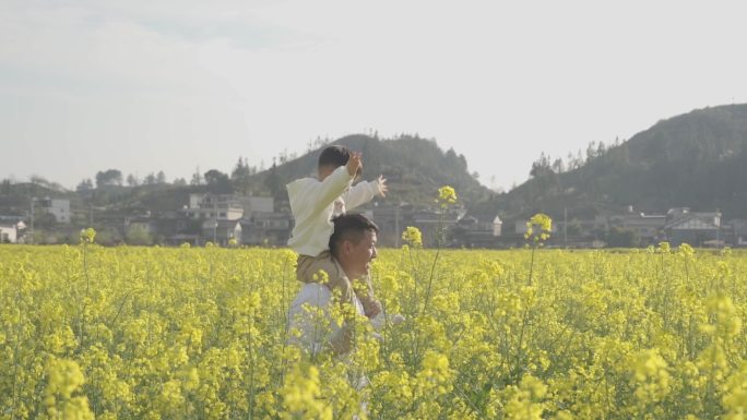 春游踏青骑马马肩父亲节儿童节亲子户外活动