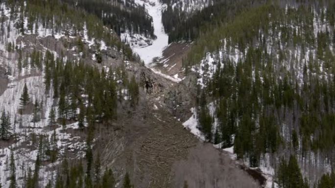 下降的空中无人机拍摄了雪崩碎片场，在科罗拉多州西部的一座山的一侧倒下了原木