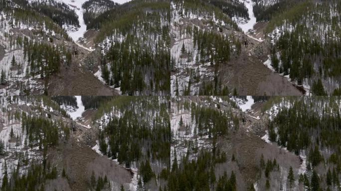 下降的空中无人机拍摄了雪崩碎片场，在科罗拉多州西部的一座山的一侧倒下了原木