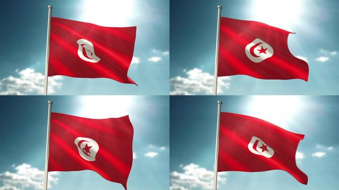 突尼斯国旗Loopable