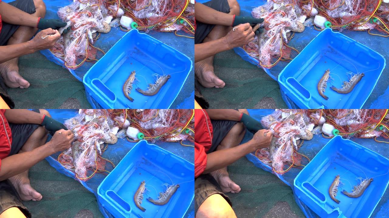 渔民在网中分拣鱼虾