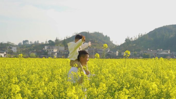 春游踏青骑马马肩父亲节儿童节亲子户外活动