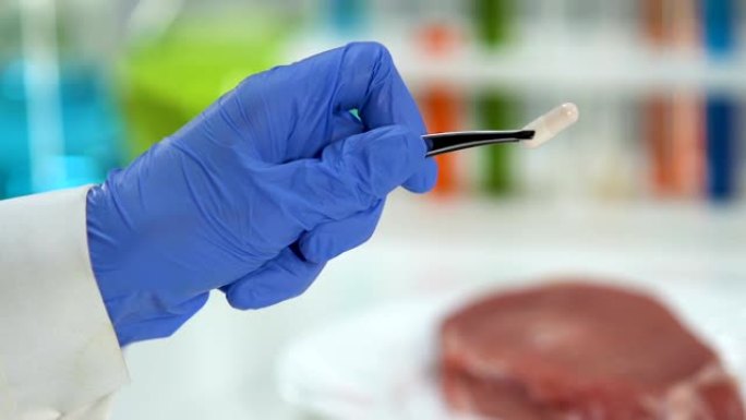 实验室工作人员在肉附近拿着药丸，添加抗生素以更好地保存