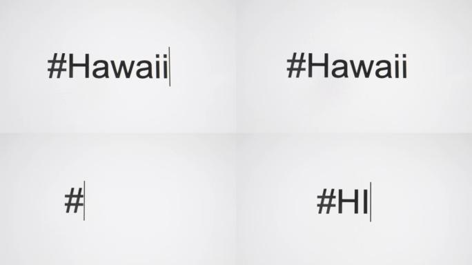 一个人在其计算机屏幕上键入 “# Hawaii”，然后跟随状态缩写