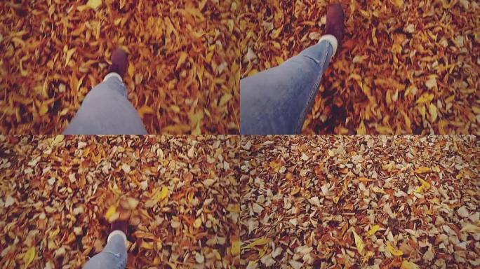 穿过树叶。慢动作