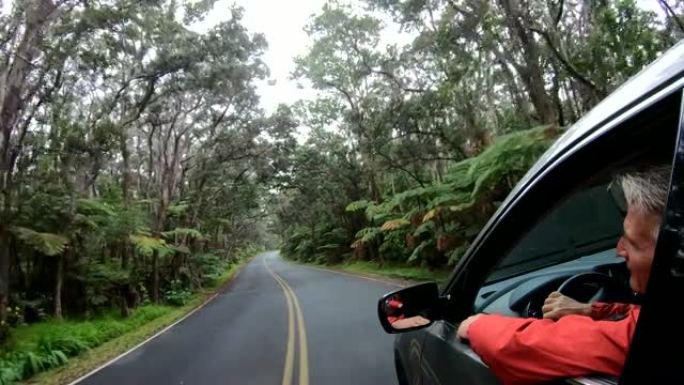 温带雨林公路上行驶的汽车的POV