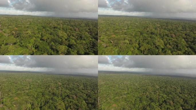 空中无人机拍摄了巴西森林