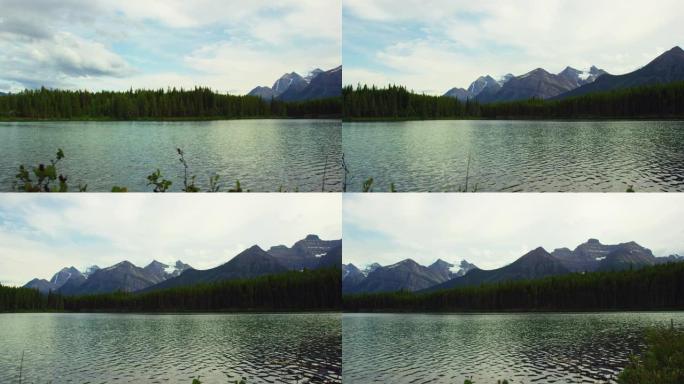 在加拿大艾伯塔省贾斯珀国家公园的背景中，山湖轻轻荡漾着森林和加拿大落基山脉的照片