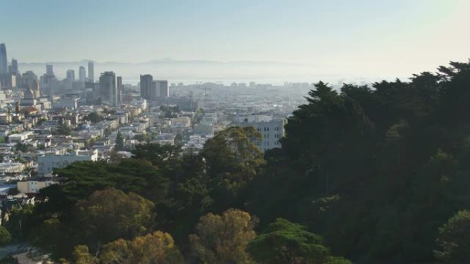 从布埃纳维斯塔公园的树木上拍摄的旧金山日出无人机