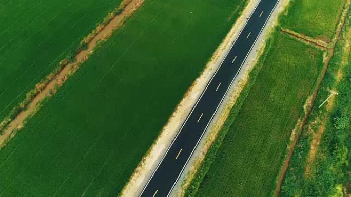 空中柏油路在顶部查看大绿稻田