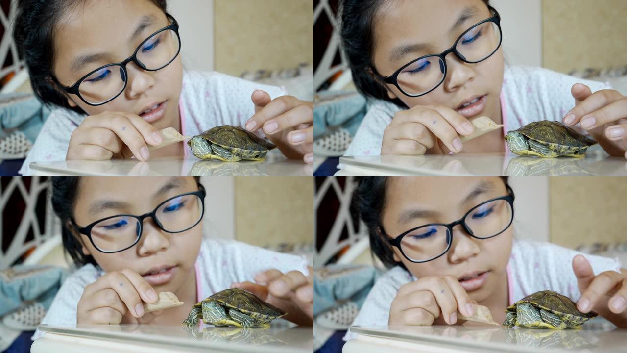 小女孩和她的宠物龟