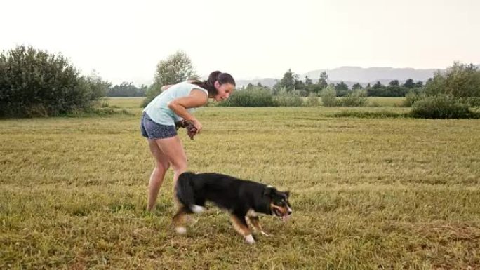 SLO MO年轻女子和她的边境牧羊犬在外面拉绳