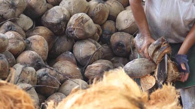 椰子皮的慢动作工业农作物农产品