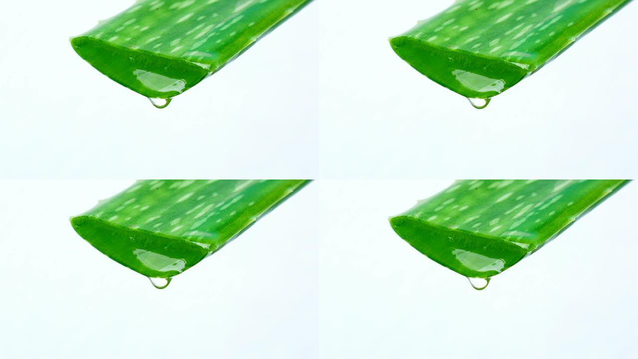 芦荟4k视频上的水滴
