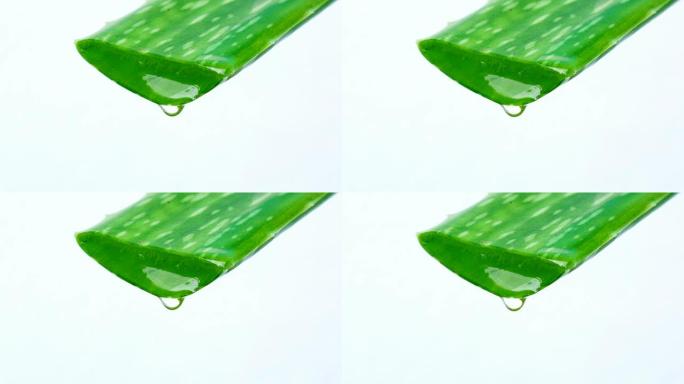 芦荟4k视频上的水滴
